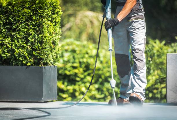 Best Dumpster Area Cleaning  in Bellevue, WI
