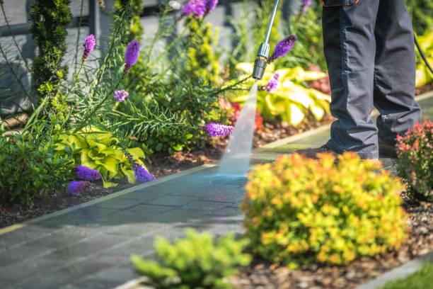 Best Machinery and Equipment Cleaning  in Bellevue, WI